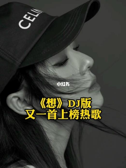 �������롷DJ��
