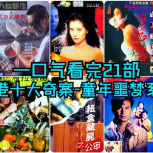 1991香港奇案系列电影合集