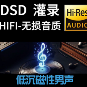 2026最新车载U盘试音碟顶级HiFi音质极品发烧金曲合集