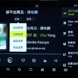 高品质车载HIFI音乐靓碟893GB合集