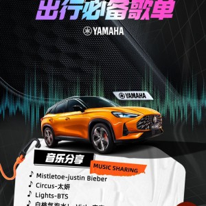 堵车必备歌单（15000首，900小时）