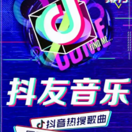 经典网络神曲无损合集