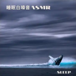 《睡眠白噪音》全套音频+文档合集