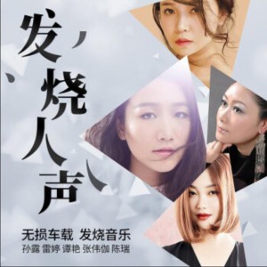 磁性HiFi发烧人声无损音质200首合集