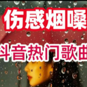 抖音烟嗓伤感车载大碟歌曲合集